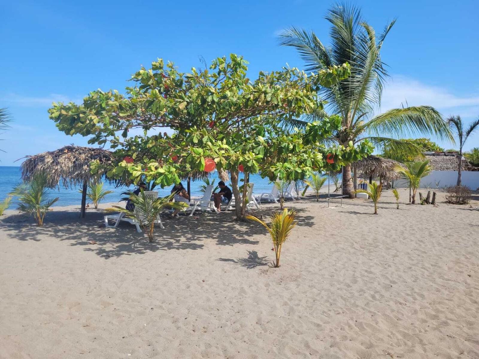 Villa Las Mellizas Puerto Armuelles エクステリア 写真
